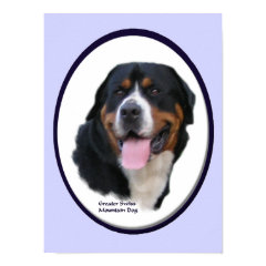 Greater Swiss Mountain Dog Art Print print