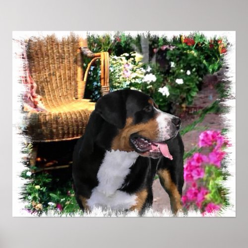 Greater Swiss Mountain Dog Art Print print