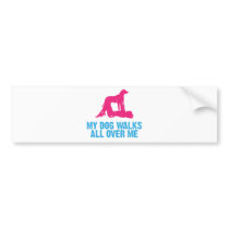 Greater Swiss Mountain Dog bumper stickers