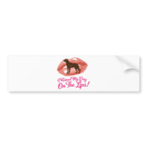 Greater Swiss Mountain Dog bumper stickers
