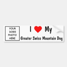 Greater Swiss Mountain Dog Bumper Sticker