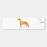 Greater Swiss Mountain Dog Bumper Stickers