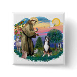 Greater Swiss Mountain Dog buttons