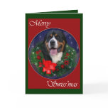 Greater Swiss Mountain Dog Christmas Gifts