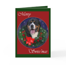 Greater Swiss Mountain Dog Christmas Gifts cards by DogsByDezign Greater Swiss Mountain Dog Christmas Gifts cards