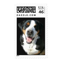 Greater Swiss Mountain Dog Happy Postage