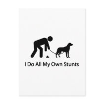 Greater Swiss Mountain Dog postcards