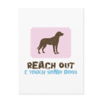 Greater Swiss Mountain Dog postcards