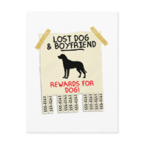 Greater Swiss Mountain Dog postcards