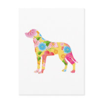 Greater Swiss Mountain Dog postcards