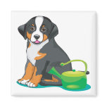 Greater Swiss Mountain Dog Puppy Fridge Magnets