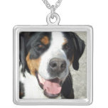 Greater Swiss Mountain Dog Smile necklaces