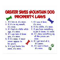 GREATER SWISS MOUNTAIN PL2 posters by poochloverstuff GREATER SWISS MOUNTAIN PL2 posters