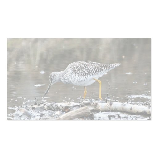 Greater Yellowlegs Business Cards (back side)