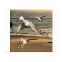 Greater Yellowlegs Postcards