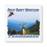 GreatSmokeyMountainsTennessee Magnet or Coaster