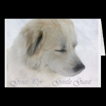Greay Pyrenees, gentlegiant cards