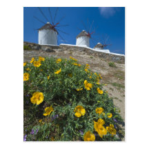 Greece, Cyclades Islands, Mykonos, Flowers near Postcard