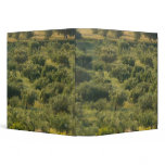 GREECE, Ionian Islands, KEFALONIA, Havriata: 3 Ring Binder