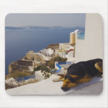 Greece, Santorini Island, Oia City, dog sleeping Mousepad