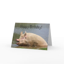 Greedy pig Birthday Greeting Cards