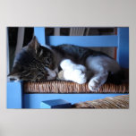 Greek Catnap Poster