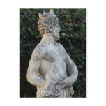 Greek Statue Postcard