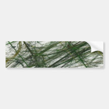 Green Abstract Fractal Background Bumper Sticker