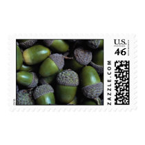Green Acorn nuts Stamps