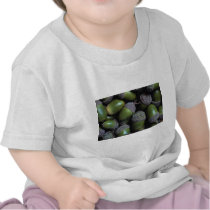 Green Acorn nuts Tee Shirts