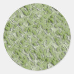 Green algae effect pattern. round stickers