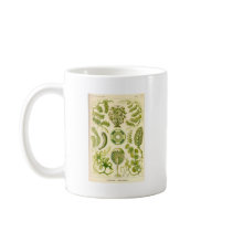 Green Algae Mug