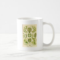 Green Algae Mug mugs