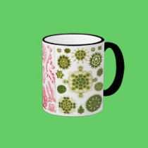green algae, various, haeckel mugs