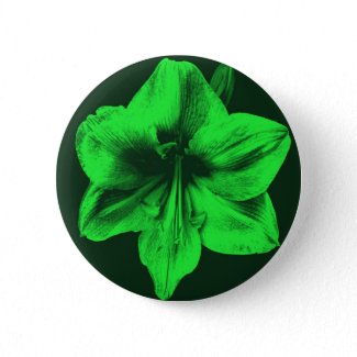 Green Amaryllis zazzle_button