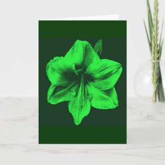 Green Amaryllis zazzle_card