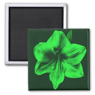 Green Amaryllis zazzle_magnet