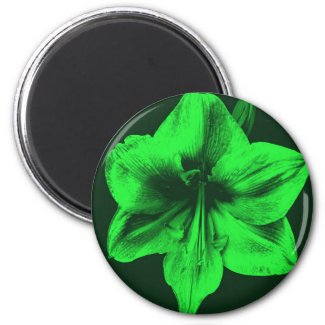 Green Amaryllis zazzle_magnet