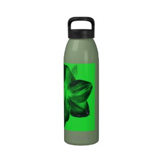 Green Amaryllis Reusable Water Bottle