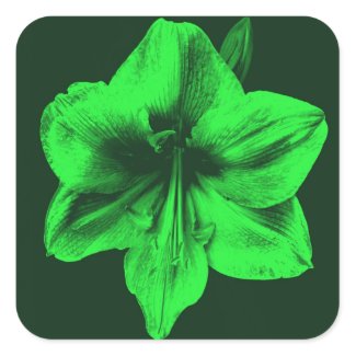 Green Amaryllis zazzle_sticker