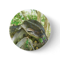 Green Anaconda Pinback Button
