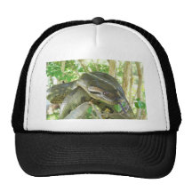 Green Anaconda Hat