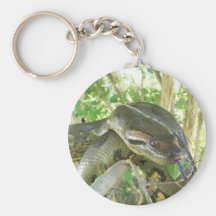 Green Anaconda Key Chains