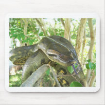 Green Anaconda Mousepads