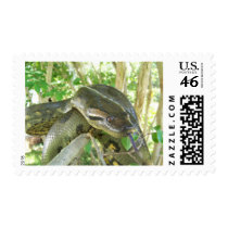 Green Anaconda Postage