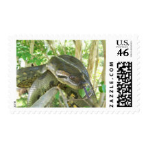 Green Anaconda Postage