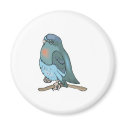 green and blue budgie bird magnets