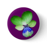 Green and Blue Pansy Button