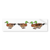 Green and Brown Duck Bumper Stickers