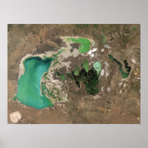 Green and Brown Earth Art Poster